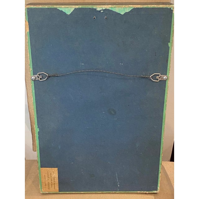 Collection of 5 19th Century Beetles in Shadow Boxes For Sale - Image 11 of 12