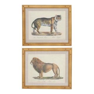 Karl Joseph Brodtmann Lithographs of Big Cats - A Pair For Sale