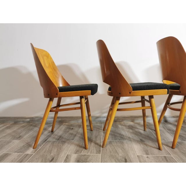Mid-Century Modern Dining Chairs by Radomir Hoffman for Ton, 1950s, Set of 4 For Sale - Image 3 of 18