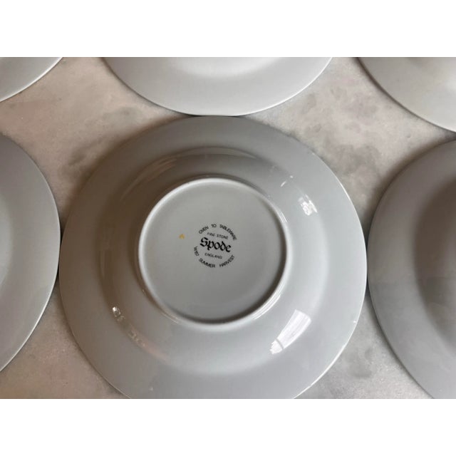 Spode Summer Harvest Coffee Cup and Saucer - Set of 6 For Sale - Image 10 of 12