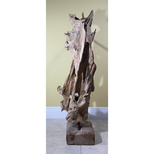 Large Natural Abstract Driftwood Sculpture For Sale - Image 11 of 12