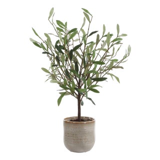 Solea Olive Accent & Textured Vase For Sale