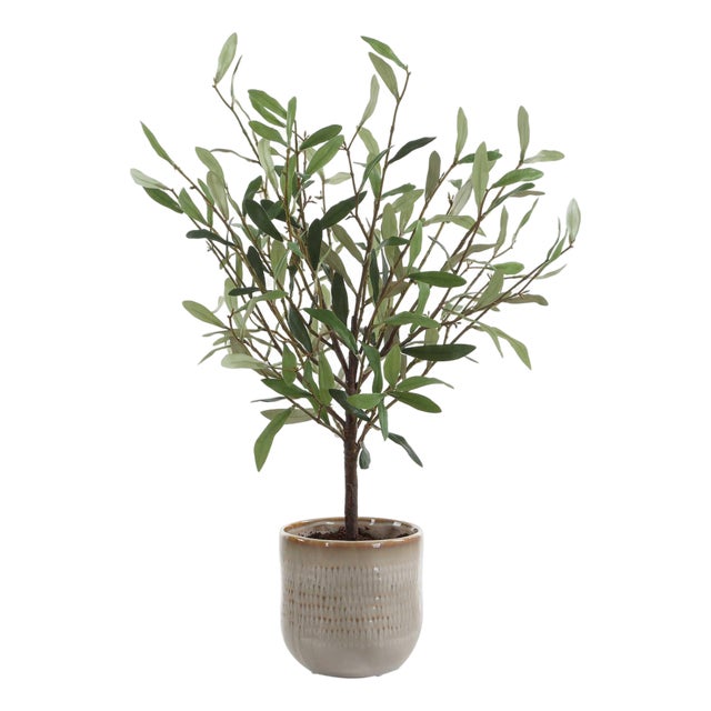 Solea Olive Accent & Textured Vase For Sale