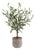 Solea Olive Accent & Textured Vase For Sale