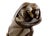 Brown Art Deco 20th Century Figurative Sculpture in Bronze For Sale - Image 8 of 10