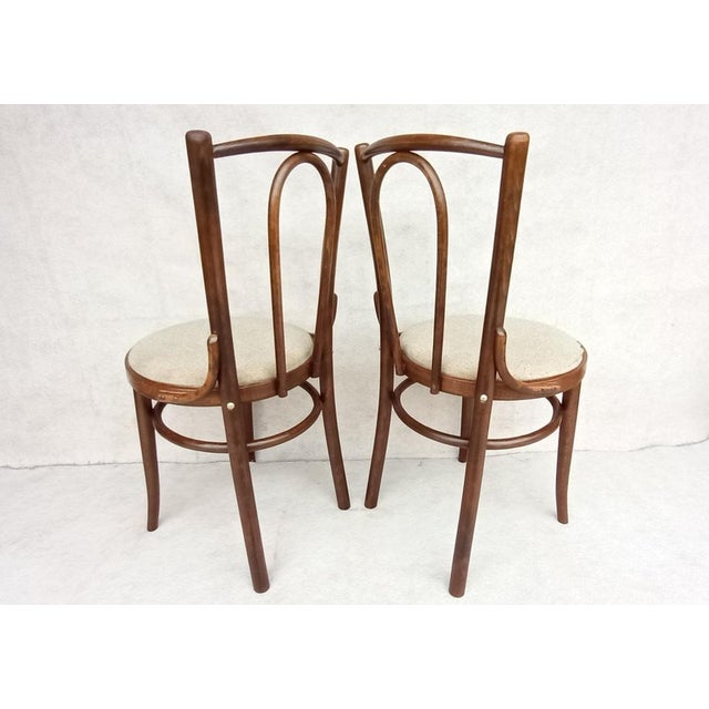 Set of Beech Bentwood Chairs from Tatra, 1960s For Sale - Image 9 of 17