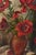 Original Oil on Canvas of Red Poppies (Signed 1946) For Sale - Image 4 of 6