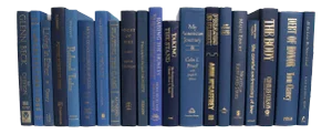 Decorative Books - Denim & Gold Books - Blue Books By The Foot