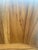 Early 20th Century Chinese Camphor Carved Wood Chest For Sale - Image 14 of 17