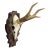 Black Forest Roe Deer Trophy on Carved Plaque, Germany Ca. 1960s For Sale