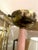 1970s 1970s Pink Metal Torchiere Floor Lamp | Scalloped Shade For Sale - Image 5 of 5