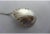 Antique "D" Monogram Sterling Silver Berry Spoon For Sale In New York - Image 6 of 6