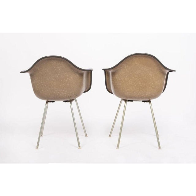Mid 20th Century Mid Century Purple Dax Lounge Chairs by Eames for Herman Miller, 1960s For Sale - Image 5 of 14