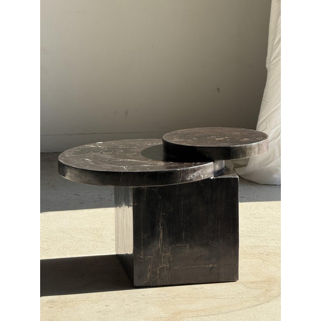 Coffee Table in Brown Petrified Wood with Double Circular Top on Cubic Base, Indonesia, 1980s For Sale - Image 16 of 16