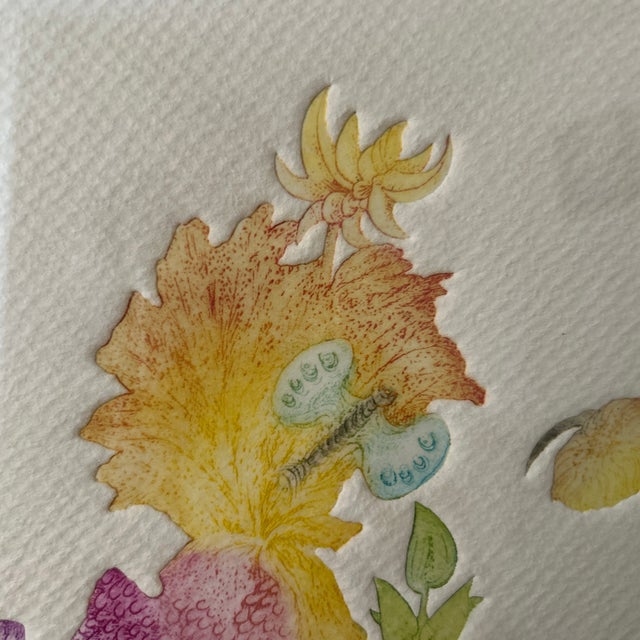 1960s Vendedor De Flores Signed Print Cises For Sale - Image 9 of 9
