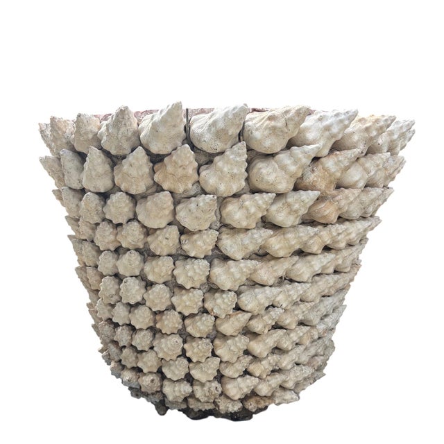 1950s Monumental Italian Coquillage Shell-Encrusted Terracotta Planter, Mid-20th Century For Sale - Image 5 of 14