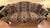 Traditional serpentine camelback sofa featuring carved claw-and-ball feet, sweeping rolled arms, and richly patterned...