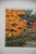 Masao Ido, Kōetsu-Ji Kyoto, 2009, Woodblock Print For Sale - Image 10 of 14