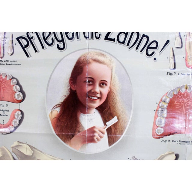 Pfleget die Zähne Vintage Print For Sale - Image 10 of 13