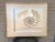 Pink Chambered Nautilus Shell Lithograph Signed by Artist For Sale - Image 8 of 8