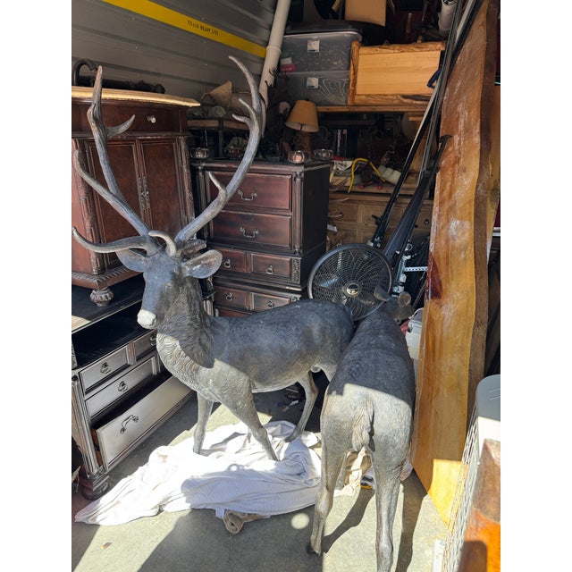 Late 20th Century Life Size Bronze Cast Buck and Doe Deer Statues, 2 Pieces For Sale - Image 10 of 12