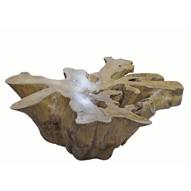 Organic Modern Natural Wood Color Teak Root Coffee Table | Chairish