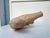 Vintage Wood Carved Sandpiper Bird Signed For Sale In West Palm - Image 6 of 6