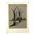 Karl Fortess, Lithograph Belgian American Surrealism Wpa Modernist Karl Fortess Surrealist Art For Sale