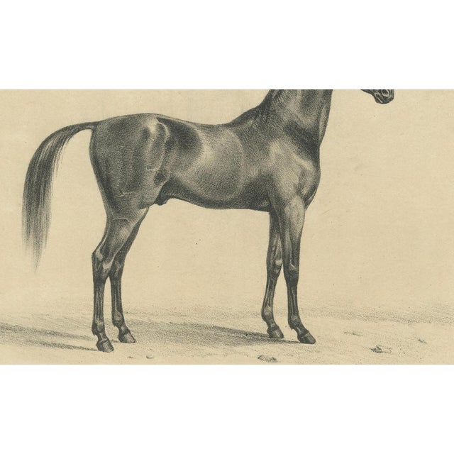 August Jäger, Aga, 1846, Paper Lithograph For Sale - Image 6 of 9