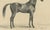 August Jäger, Aga, 1846, Paper Lithograph For Sale - Image 6 of 9