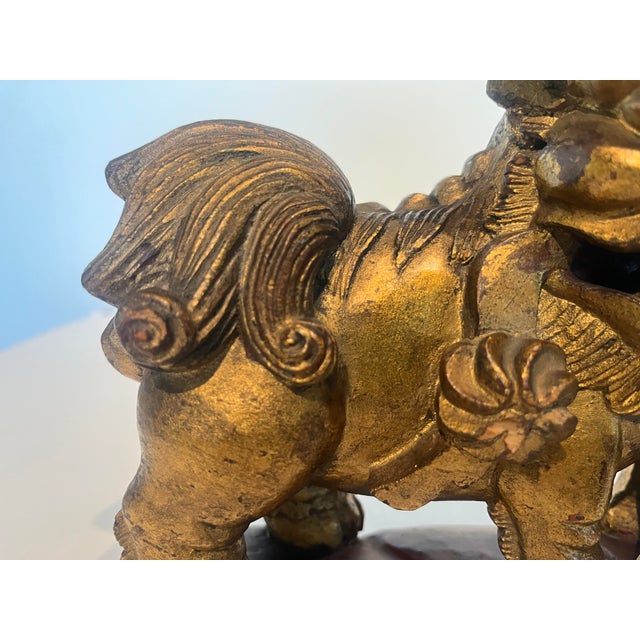 Pair Late 19th Century Chinese Carved Giltwood Male & Female Guardian Foo Dogs With Cub Attached to Female For Sale - Image 11 of 12