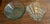 Late 20th Century Coastal Seashell Bowl With Shell Serving Tray For Sale - Image 5 of 12