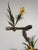 Catch My Drift II features a harmonious blend of natural elements, incorporating organic forms and vibrant yellow flowers...