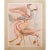 1951 After After Dali, "Birds" First and Only Edition Period Lithograph From the Mrs. Albert D. Lasker Collection For Sale - Image 9 of 10