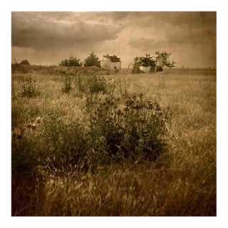 Rosa Basurto, Primo Tempo 3, 2020s, Digital Photograph Print For Sale