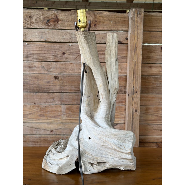 Light Gray Monumental Sculptural Driftwood Table Lamp, Organic Modern Coastal Decor For Sale - Image 8 of 12