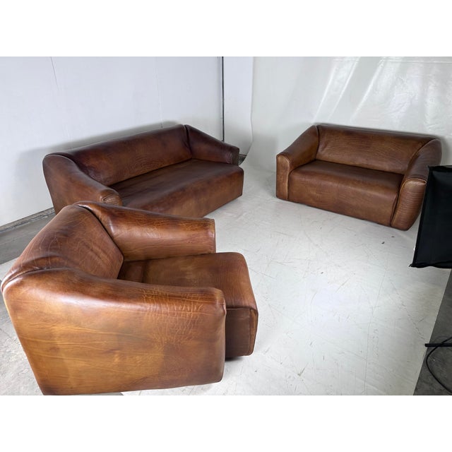Animal Skin Leather Lounge Set from de Sede, 1970s, Set of 3 For Sale - Image 7 of 12