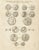 Tardieu, Antique Print of Ancient Greek Coins and Medals, 1825, Engraving For Sale
