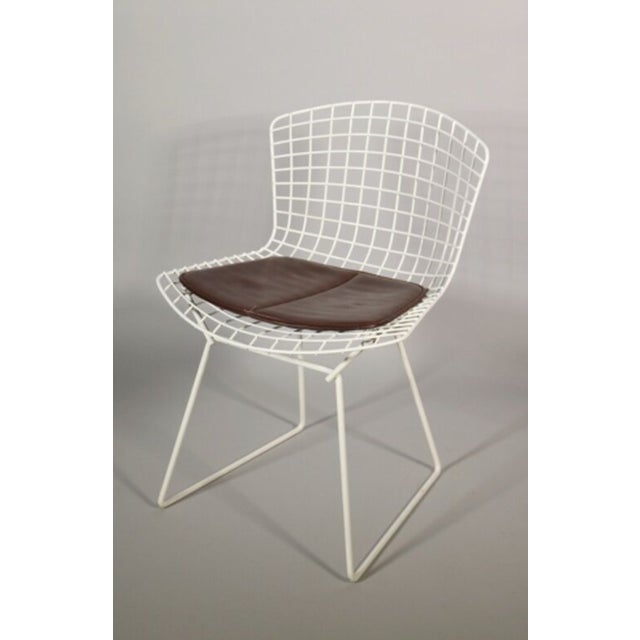 1990s Diamond Chairs by Harry Bertoia for Knoll International, 1995, Set of 4 For Sale - Image 5 of 6
