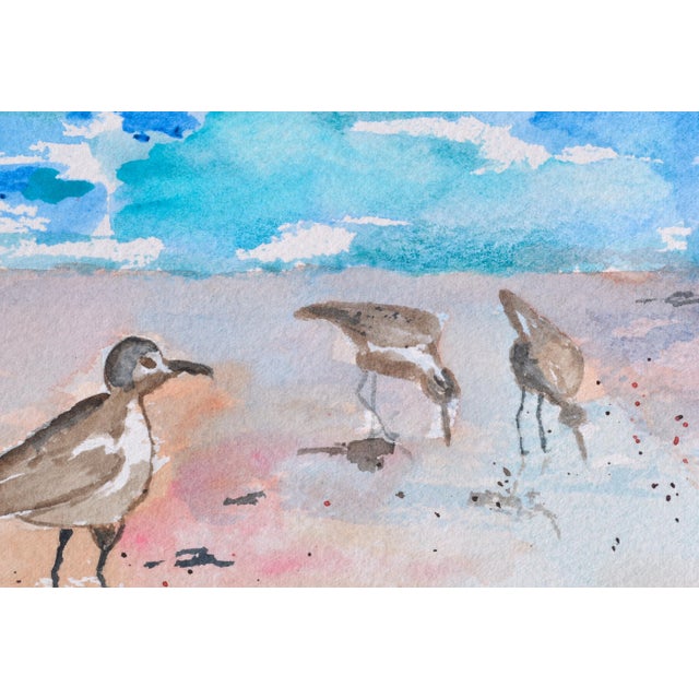 Maryann Stow Florida Seabirds Watercolor Landscape circa 1980 For Sale - Image 4 of 7