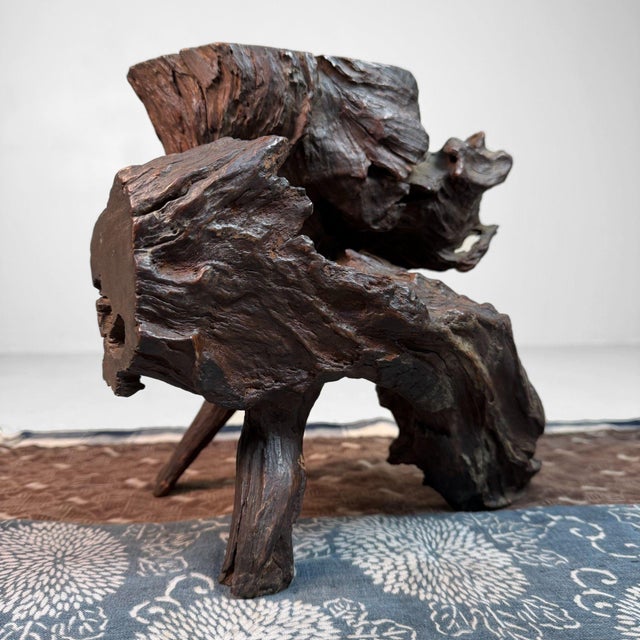 Antique Japanese Root Wood Ikebana Display, 1900s For Sale - Image 12 of 12