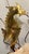 Mid 20th Century Vintage Brass Seahorse Sculpture on Quartz & Teak Base For Sale - Image 5 of 10
