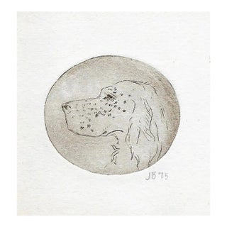 1975 Dog Etching by John Bradley For Sale