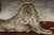 An English brass lion sculpture from the late 19th century, in a reclining position. Born in the later years of the 19th...