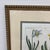 Daffodil Botanical Art Print, Framed For Sale - Image 11 of 12