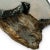 1970s 50 Inch Long 1970s Redwood Burl Coffee Table With Root Base For Sale - Image 5 of 7