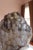 Balam: Monumental Hand-Carved Brazilian Smoky Quartz Sculpture With Natural Elestial Formation For Sale In Greenville, SC - Image 6 of 16
