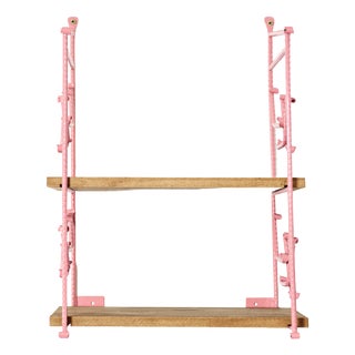 Pink Shelves in Metal and Wood, 1970s For Sale