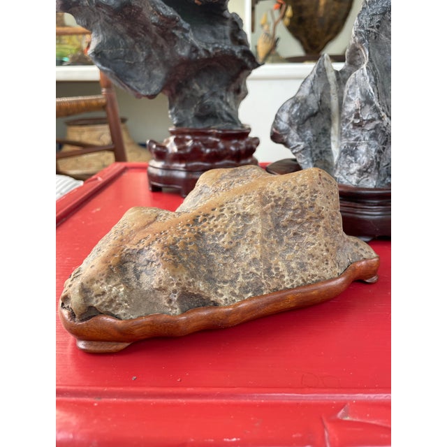 Brown Chinese Scholar's Stone For Sale - Image 8 of 9