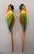 Plastic Macaws in Fiberglass & Epoxy, Italy, 1970s, Set of 2 For Sale - Image 7 of 18